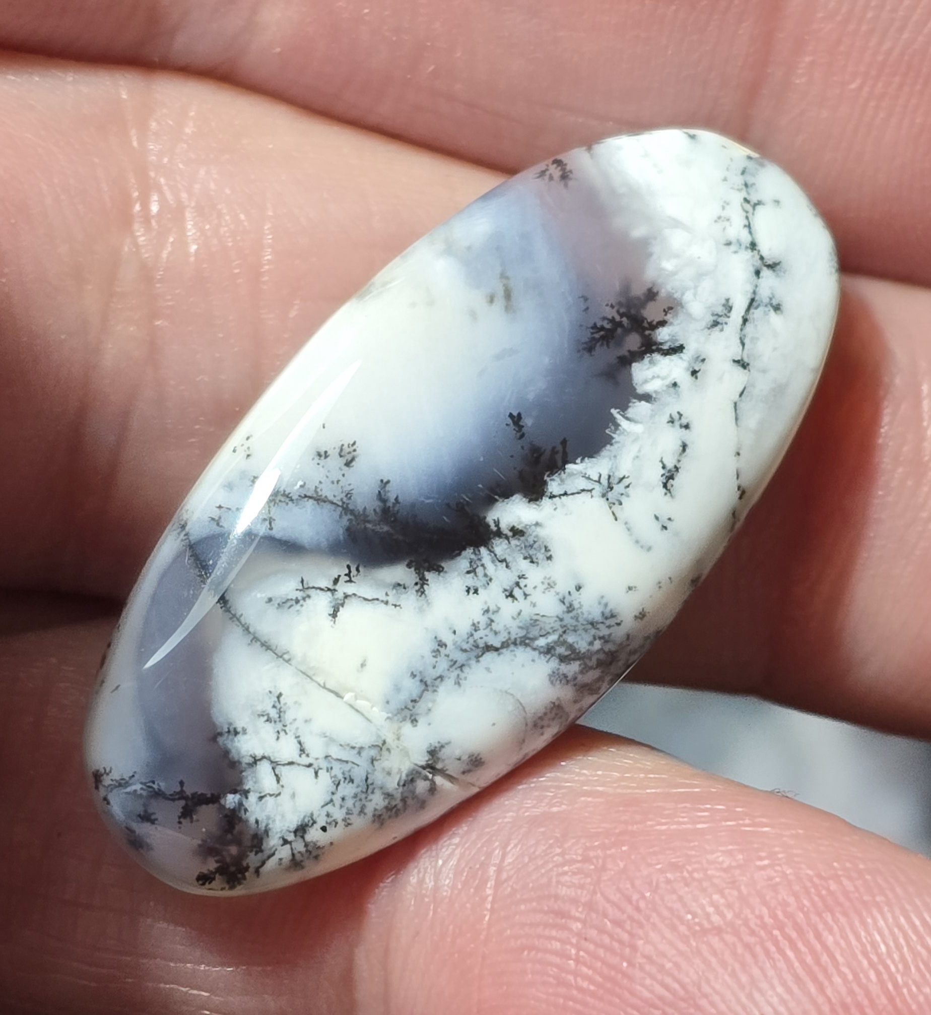 36x17mm Dendritic chalcedony cabochon