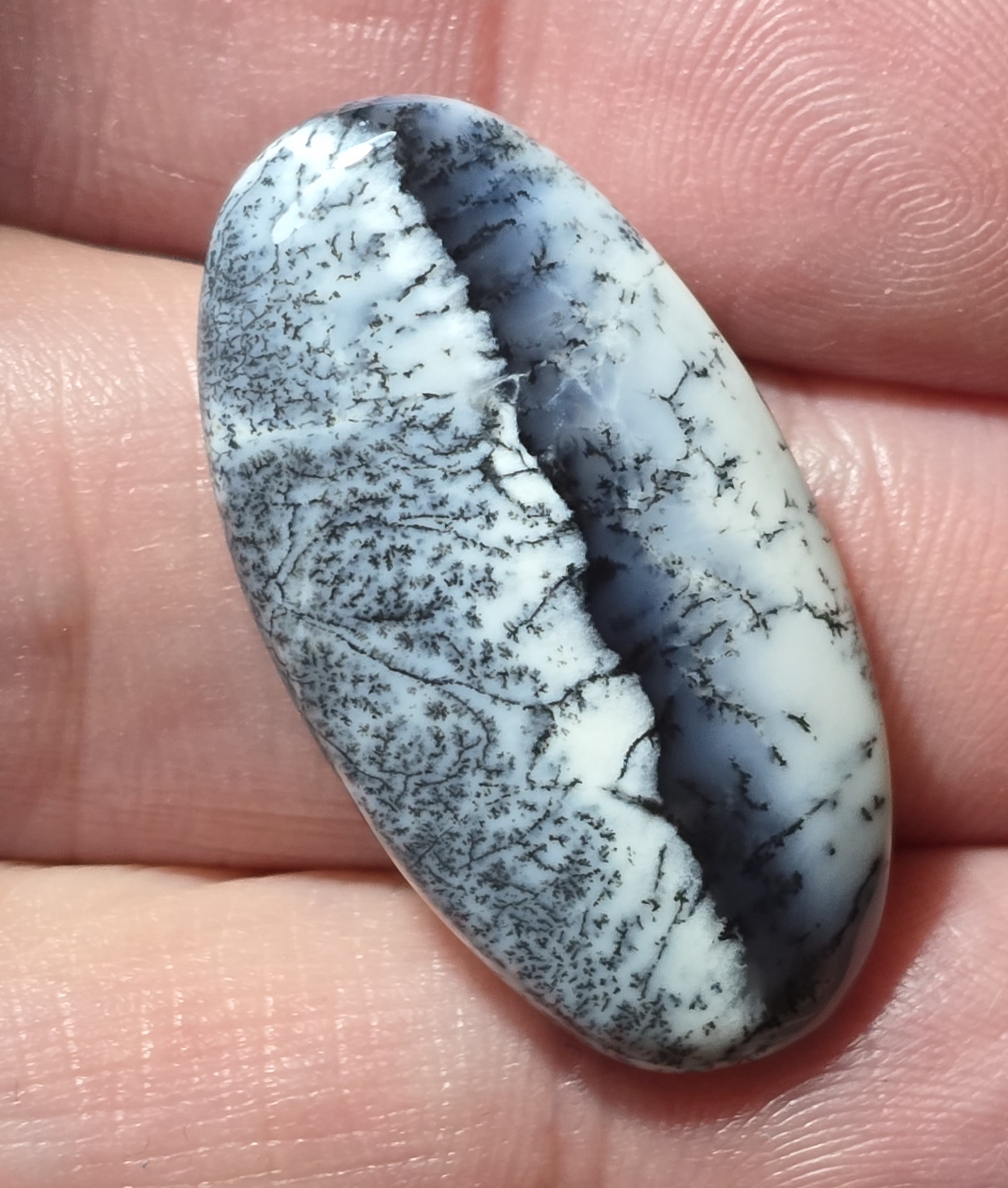 33x18mm Dendritic chalcedony cabochon