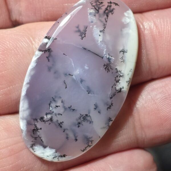 43x25mm Dendritic chalcedony cabochon