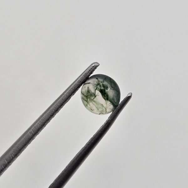 5mm round moss agate cabochon