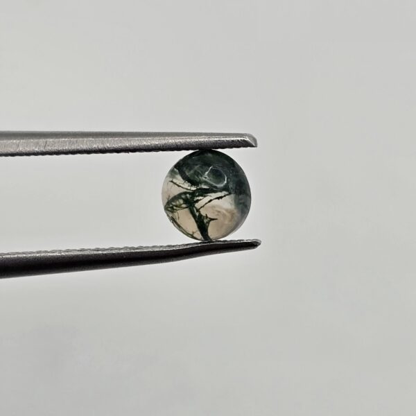 5mm round moss agate cabochon
