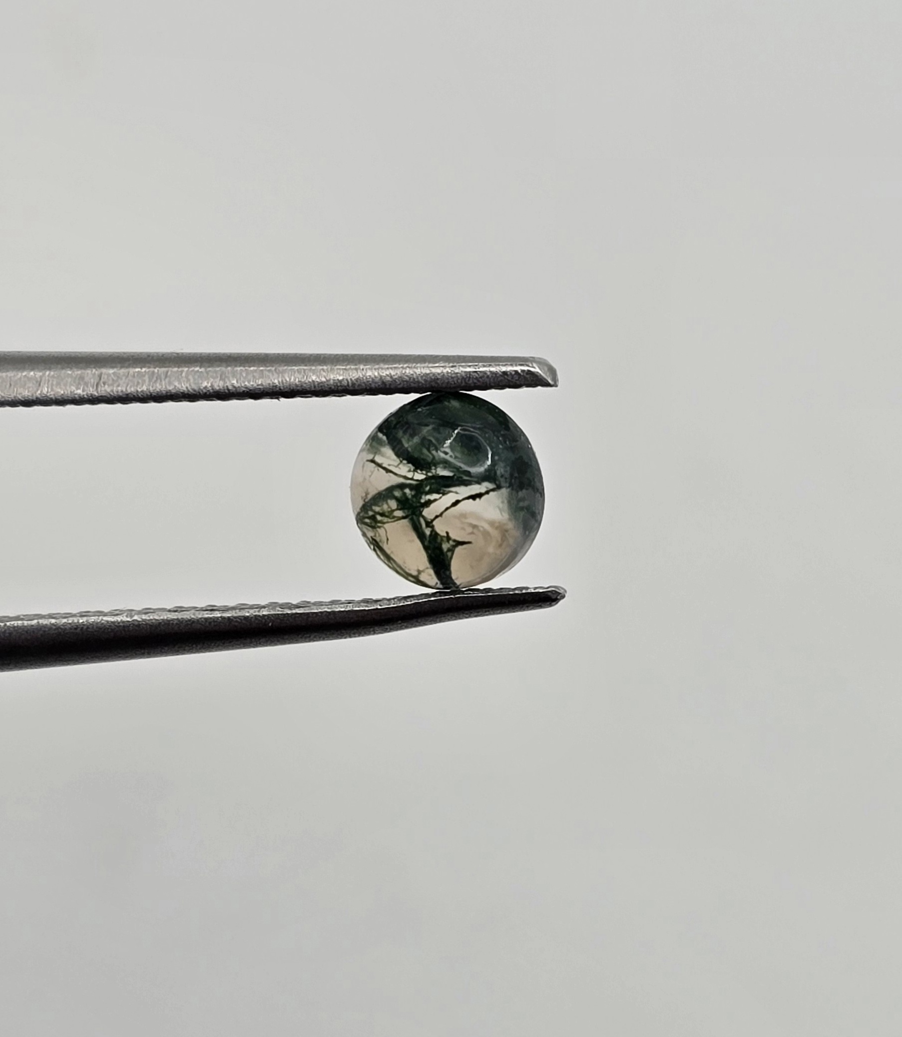 5mm round moss agate cabochon