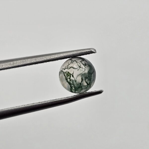 5mm round moss agate cabochon
