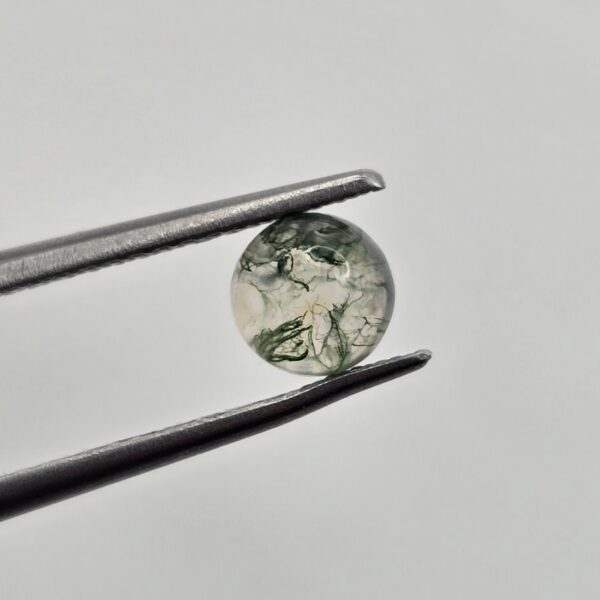 5mm round moss agate cabochon