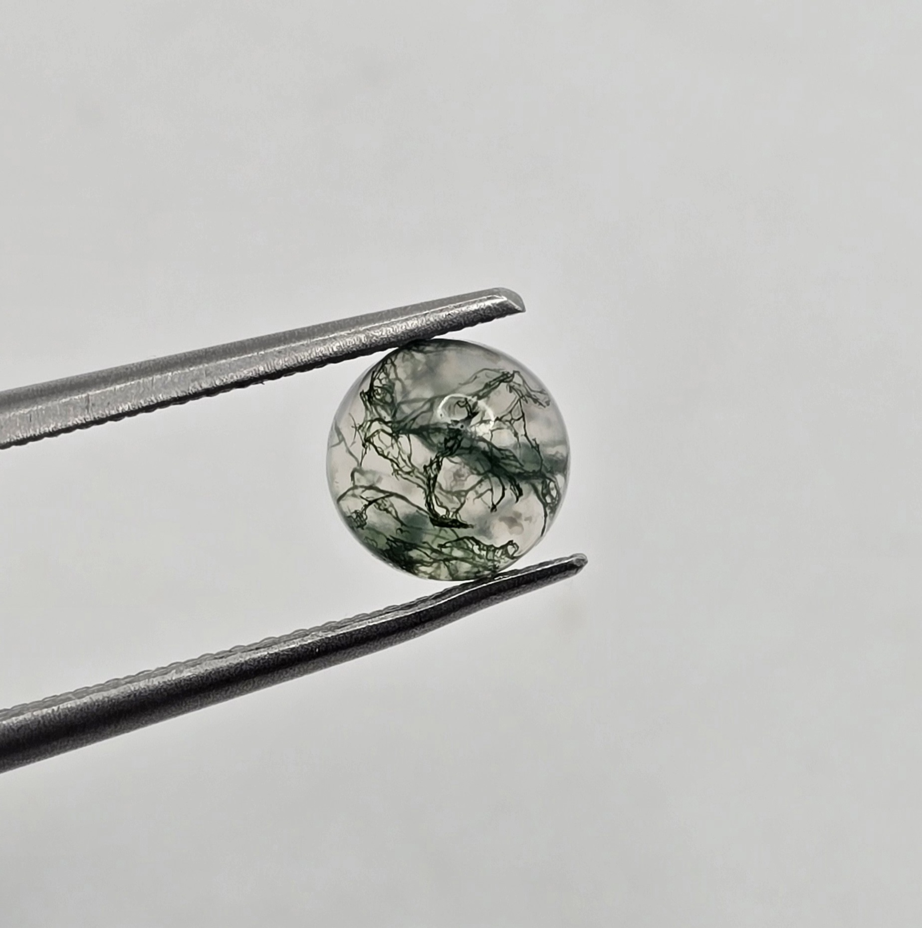 6mm round moss agate cabochon