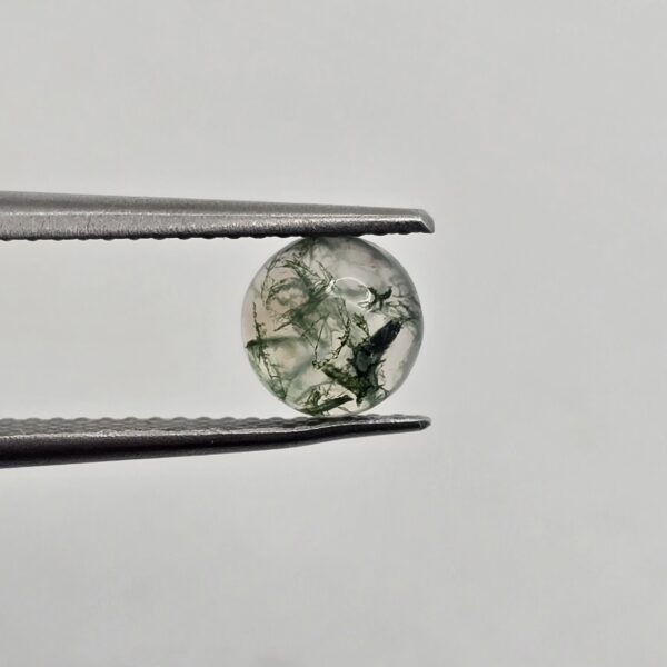 6mm round moss agate cabochon