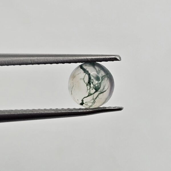 6mm round moss agate cabochon