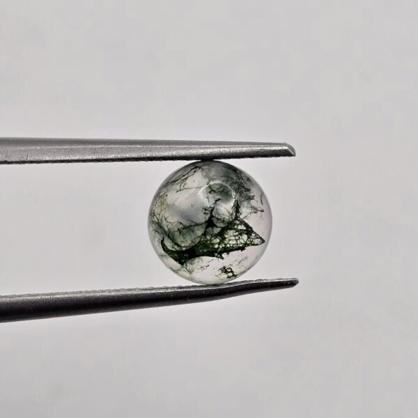 7mm round moss agate cabochon