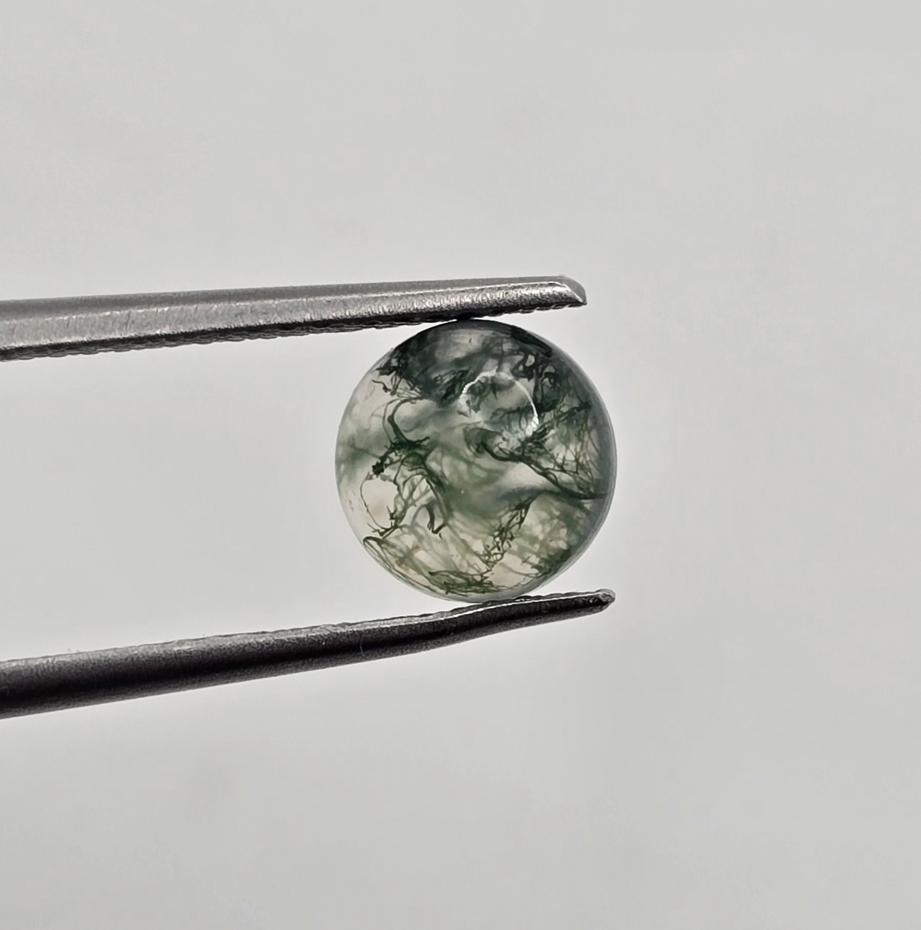 7mm round moss agate cabochon
