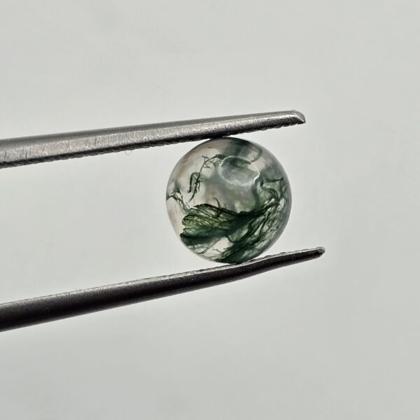 7mm round moss agate cabochon
