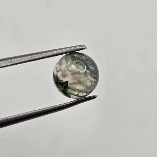 7mm round moss agate cabochon