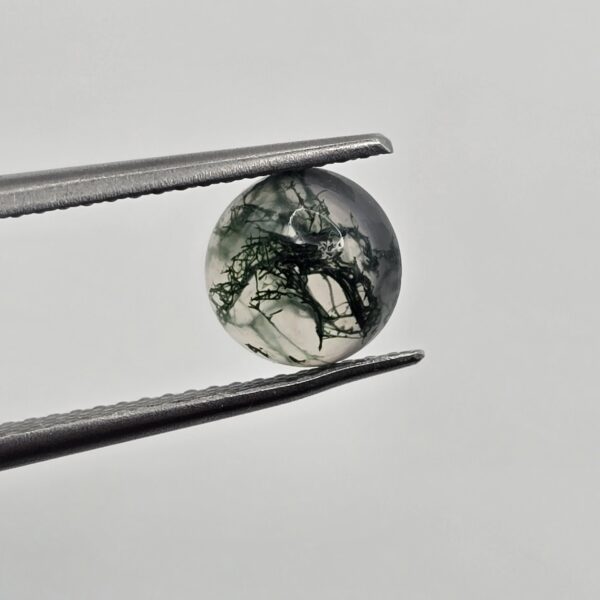 7mm round moss agate cabochon