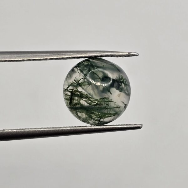 10mm round moss agate cabochon, high quality